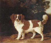 George Stubbs Dog oil painting reproduction